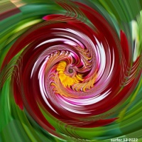 Feathers Flying