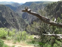 Colorado Valley (Black Canyon)