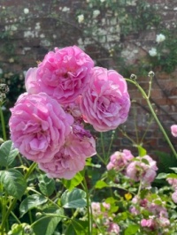 UK