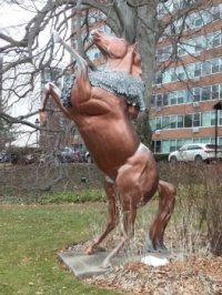 Horse on Parade Rochester NY