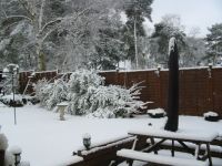Winter Garden