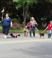 Who doesn't like to see a little dog, and bigger dog and a goat in a parade!