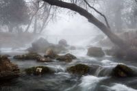 Foggy San Marcos River..Andy Heatwole