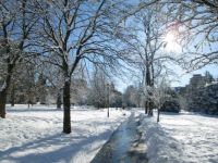 Snow and Sun