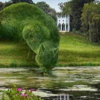 beautiful art work,  wow