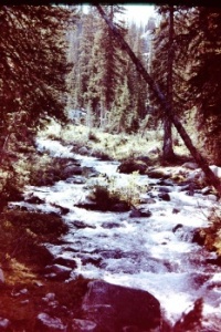 Idaho creek