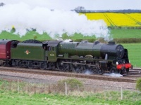 LMS Royal Scot Class 4-6-0 46115 Scots Guardsman at Colton Junction, 2012.
