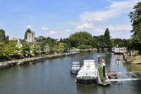 River Thames at Twickenham
