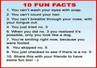 10 Fun Facts!