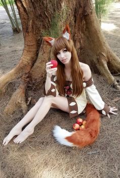 Holo the Wise Wolf - Woods, by MeganCoffey  (Small)