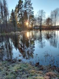 Tollebolsdammen Åmål, Sweden