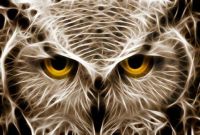 Freaky Looking Owl