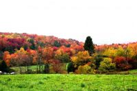 Fall in the Finger Lakes