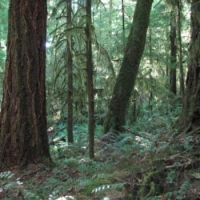 Vancouver island