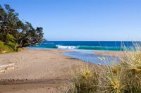 Whananaki Beach, Northland, NZ