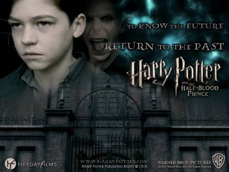 Tom Riddle Harry Potter and the Half Blood Prince