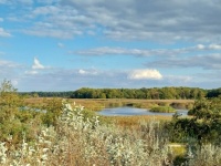 Autumn day at the H&uuml;telmoor