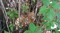 20160503 Bozo's new hiding spot