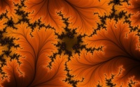 6jC2xli-free-fractal