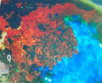 MAGNIFICATION OF CABOCHON #3 OF #2