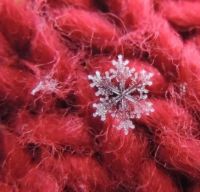 Snowflake - puzzle