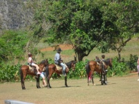 SAM_1829 Jízda na koních...  Horseback riding ...