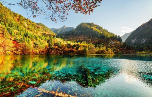 Solve Five Flower Lake,Sichuan, China jigsaw puzzle online with 96 pieces