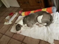 my friend adopted this baby girl