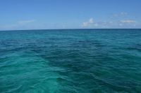 Bahamian Horizon