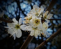 IMG_20230403_081837502_2
