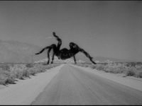 Run for your Life!!!!!!!!