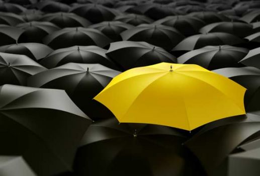 black-and-yellow-umbrella