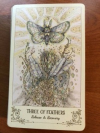 Tarot ~~ 26 May
