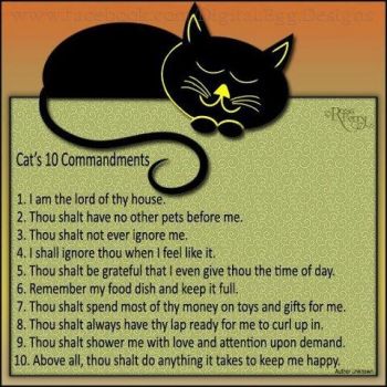 Cats-10-Commandments