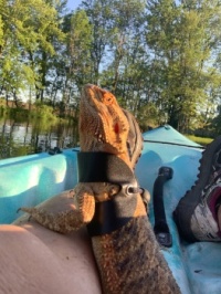 Kayaking with Mom