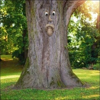 ~Tree Face Yard Art~