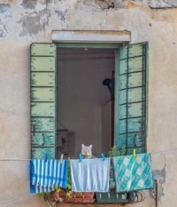 Putting the washing out to dry