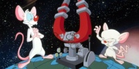 pinky-and-the-brain
