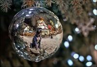 Ornament Reflection
