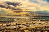 sea