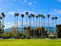 Chase Palm Park