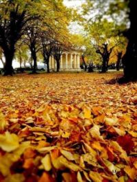 CORFU TOWN IN FALL