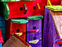 Colorful Bird Houses