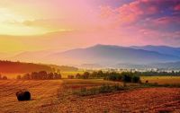 Morning @ Cades Cove - Great Smoky Mtn. National Park