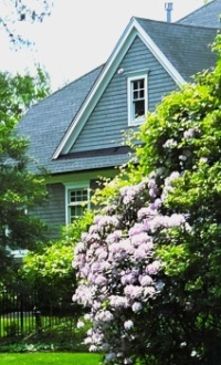 Spring Colors in Little Silver, NJ 2