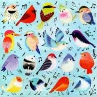 Song Birds Puzzle