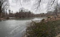 The Park