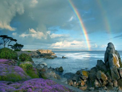 BEAUTIFUL RAINBOWS SERIES.... 