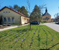 NA NÁVSI V MOŘICÍCH