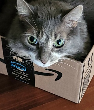 Greyson:  with a new box to check out